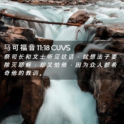 Picture 02 - 马 可 福 音 11:18 CUVS - 祭 司 长 和 文 士 听 见 这 话 ， 就 - Bible Verse Picture