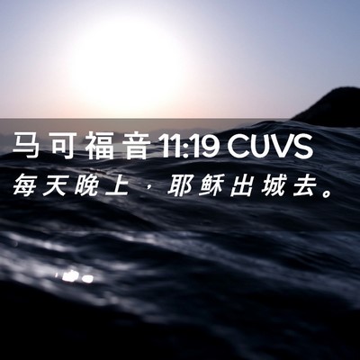 Picture 02 - 马 可 福 音 11:19 CUVS - 每 天 晚 上 ， 耶 稣 出 城 去 - Bible Verse Picture