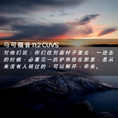 Picture 02 - 马 可 福 音 11:2 CUVS - 对 他 们 说 ： 你 们 往 对 面 村 子 - Bible Verse Picture