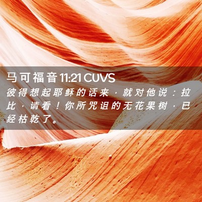 Picture 02 - 马 可 福 音 11:21 CUVS - 彼 得 想 起 耶 稣 的 话 来 ， 就 对 - Bible Verse Picture