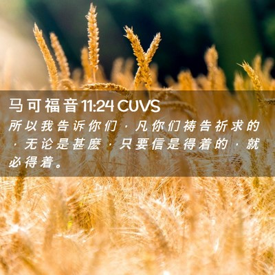 Picture 02 - 马 可 福 音 11:24 CUVS - 所 以 我 告 诉 你 们 ， 凡 你 们 祷 - Bible Verse Picture