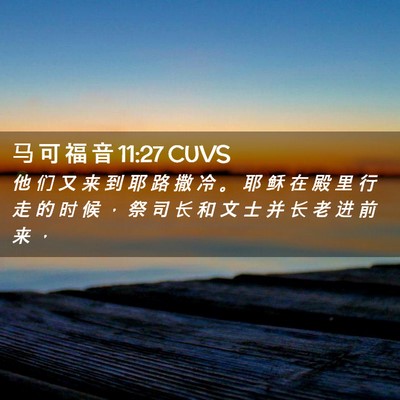 Picture 02 - 马 可 福 音 11:27 CUVS - 他 们 又 来 到 耶 路 撒 冷 。 耶 稣 - Bible Verse Picture