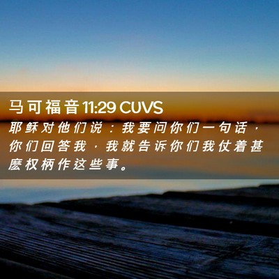 Picture 02 - 马 可 福 音 11:29 CUVS - 耶 稣 对 他 们 说 ： 我 要 问 你 们 - Bible Verse Picture
