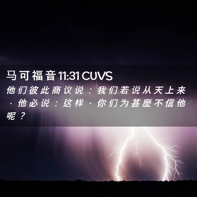 Picture 02 - 马 可 福 音 11:31 CUVS - 他 们 彼 此 商 议 说 ： 我 们 若 说 - Bible Verse Picture