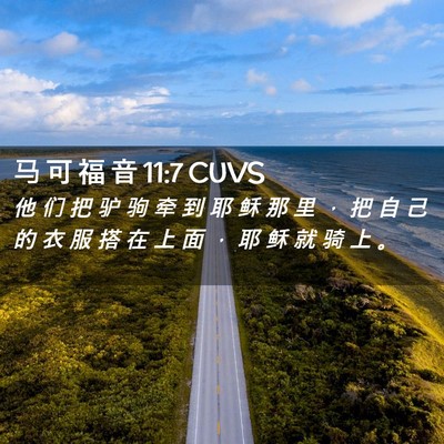 Picture 02 - 马 可 福 音 11:7 CUVS - 他 们 把 驴 驹 牵 到 耶 稣 那 里 ， - Bible Verse Picture