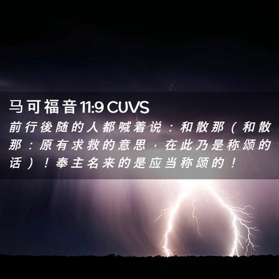 Picture 02 - 马 可 福 音 11:9 CUVS - 前 行 後 随 的 人 都 喊 着 说 ： 和 - Bible Verse Picture