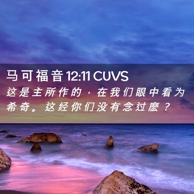 Picture 02 - 马 可 福 音 12:11 CUVS - 这 是 主 所 作 的 ， 在 我 们 眼 中 - Bible Verse Picture