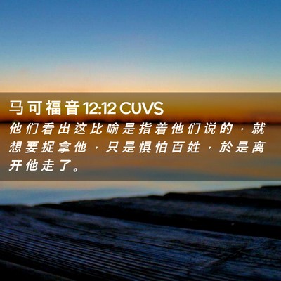 Picture 02 - 马 可 福 音 12:12 CUVS - 他 们 看 出 这 比 喻 是 指 着 他 们 - Bible Verse Picture