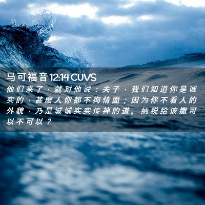 Picture 02 - 马 可 福 音 12:14 CUVS - 他 们 来 了 ， 就 对 他 说 ： 夫 子 - Bible Verse Picture