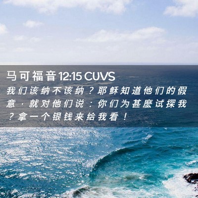 Picture 02 - 马 可 福 音 12:15 CUVS - 我 们 该 纳 不 该 纳 ？ 耶 稣 知 道 - Bible Verse Picture