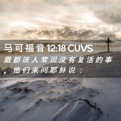 Picture 02 - 马 可 福 音 12:18 CUVS - 撒 都 该 人 常 说 没 有 复 活 的 事 - Bible Verse Picture