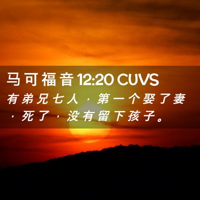 Picture 02 - 马 可 福 音 12:20 CUVS - 有 弟 兄 七 人 ， 第 一 个 娶 了 妻 - Bible Verse Picture
