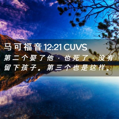Picture 02 - 马 可 福 音 12:21 CUVS - 第 二 个 娶 了 他 ， 也 死 了 ， 没 - Bible Verse Picture