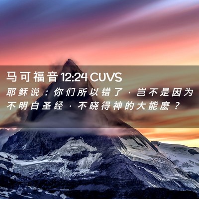 Picture 02 - 马 可 福 音 12:24 CUVS - 耶 稣 说 ： 你 们 所 以 错 了 ， 岂 - Bible Verse Picture