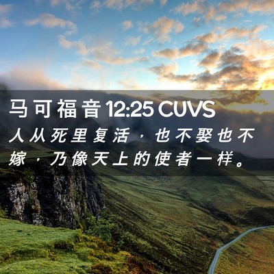 Picture 02 - 马 可 福 音 12:25 CUVS - 人 从 死 里 复 活 ， 也 不 娶 也 不 - Bible Verse Picture