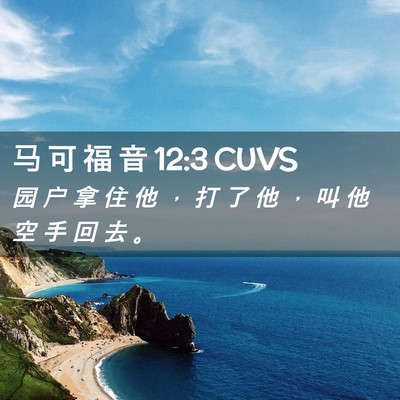 Picture 02 - 马 可 福 音 12:3 CUVS - 园 户 拿 住 他 ， 打 了 他 ， 叫 他 - Bible Verse Picture