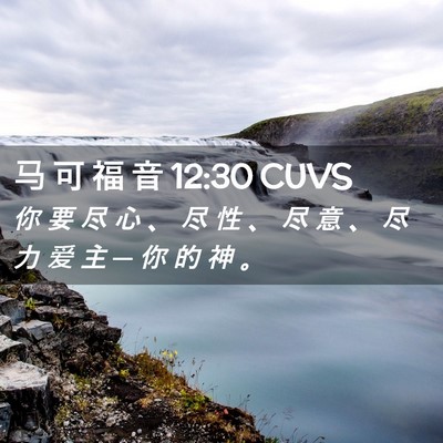 Picture 02 - 马 可 福 音 12:30 CUVS - 你 要 尽 心 、 尽 性 、 尽 意 、 尽 - Bible Verse Picture