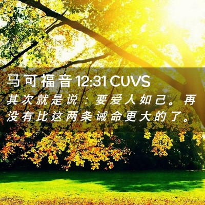 Picture 02 - 马 可 福 音 12:31 CUVS - 其 次 就 是 说 ： 要 爱 人 如 己 。 - Bible Verse Picture