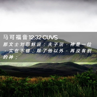 Picture 02 - 马 可 福 音 12:32 CUVS - 那 文 士 对 耶 稣 说 ： 夫 子 说 ， - Bible Verse Picture