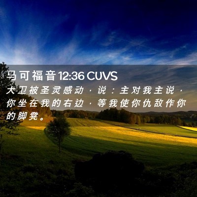 Picture 02 - 马 可 福 音 12:36 CUVS - 大 卫 被 圣 灵 感 动 ， 说 ： 主 对 - Bible Verse Picture