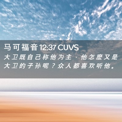 Picture 02 - 马 可 福 音 12:37 CUVS - 大 卫 既 自 己 称 他 为 主 ， 他 怎 - Bible Verse Picture