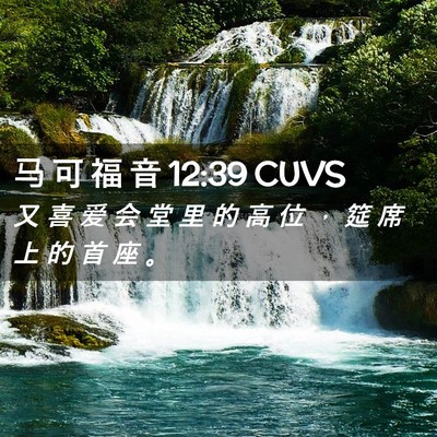 Picture 02 - 马 可 福 音 12:39 CUVS - 又 喜 爱 会 堂 里 的 高 位 ， 筵 席 - Bible Verse Picture