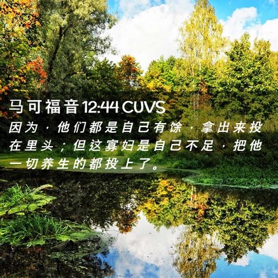 Picture 02 - 马 可 福 音 12:44 CUVS - 因 为 ， 他 们 都 是 自 己 有 馀 ， - Bible Verse Picture