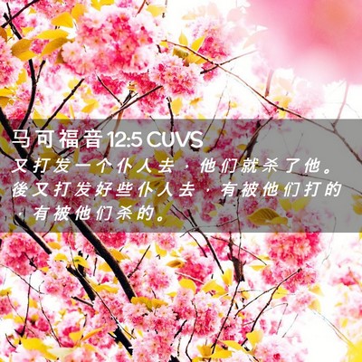 Picture 02 - 马 可 福 音 12:5 CUVS - 又 打 发 一 个 仆 人 去 ， 他 们 就 - Bible Verse Picture