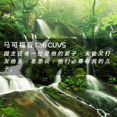 Picture 02 - 马 可 福 音 12:6 CUVS - 园 主 还 有 一 位 是 他 的 爱 子 ， - Bible Verse Picture
