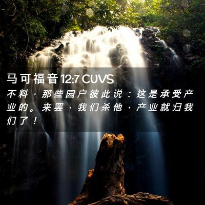 Picture 02 - 马 可 福 音 12:7 CUVS - 不 料 ， 那 些 园 户 彼 此 说 ： 这 - Bible Verse Picture