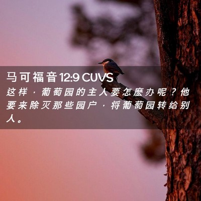Picture 02 - 马 可 福 音 12:9 CUVS - 这 样 ， 葡 萄 园 的 主 人 要 怎 麽 - Bible Verse Picture