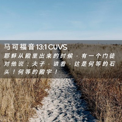 Picture 02 - 马 可 福 音 13:1 CUVS - 耶 稣 从 殿 里 出 来 的 时 候 ， 有 - Bible Verse Picture
