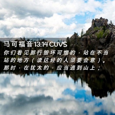 Picture 02 - 马 可 福 音 13:14 CUVS - 你 们 看 见 那 行 毁 坏 可 憎 的 ， - Bible Verse Picture