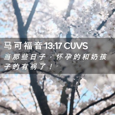 Picture 02 - 马 可 福 音 13:17 CUVS - 当 那 些 日 子 ， 怀 孕 的 和 奶 孩 - Bible Verse Picture