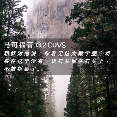 Picture 02 - 马 可 福 音 13:2 CUVS - 耶 稣 对 他 说 ： 你 看 见 这 大 殿 - Bible Verse Picture