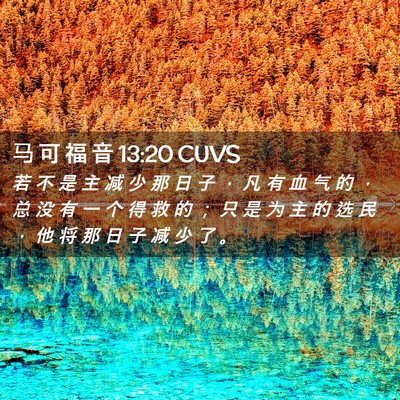 Picture 02 - 马 可 福 音 13:20 CUVS - 若 不 是 主 减 少 那 日 子 ， 凡 有 - Bible Verse Picture