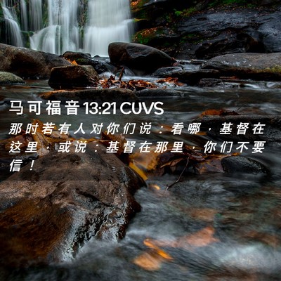 Picture 02 - 马 可 福 音 13:21 CUVS - 那 时 若 有 人 对 你 们 说 ： 看 哪 - Bible Verse Picture