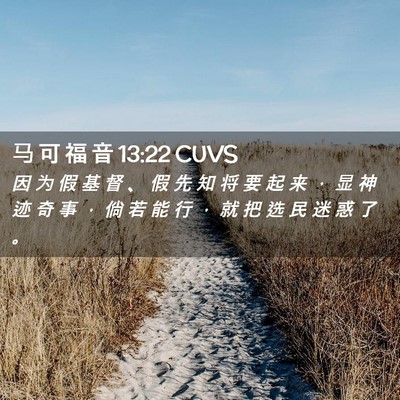 Picture 02 - 马 可 福 音 13:22 CUVS - 因 为 假 基 督 、 假 先 知 将 要 起 - Bible Verse Picture