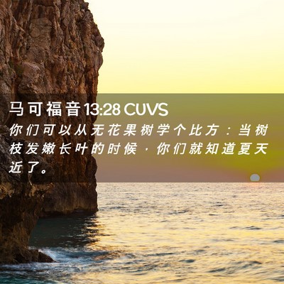 Picture 02 - 马 可 福 音 13:28 CUVS - 你 们 可 以 从 无 花 果 树 学 个 比 - Bible Verse Picture