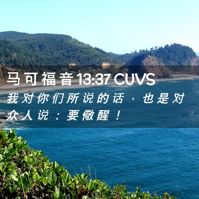 Picture 02 - 马 可 福 音 13:37 CUVS - 我 对 你 们 所 说 的 话 ， 也 是 对 - Bible Verse Picture