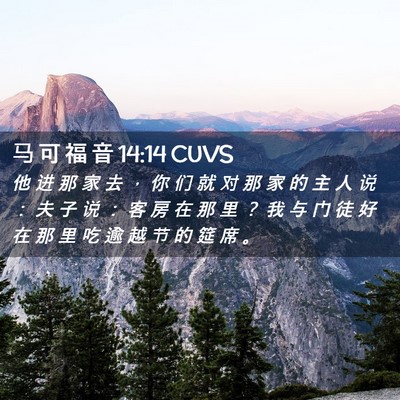 Picture 02 - 马 可 福 音 14:14 CUVS - 他 进 那 家 去 ， 你 们 就 对 那 家 - Bible Verse Picture