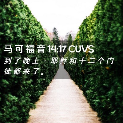 Picture 02 - 马 可 福 音 14:17 CUVS - 到 了 晚 上 ， 耶 稣 和 十 二 个 门 - Bible Verse Picture
