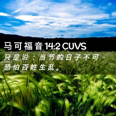 Picture 02 - 马 可 福 音 14:2 CUVS - 只 是 说 ： 当 节 的 日 子 不 可 ， - Bible Verse Picture