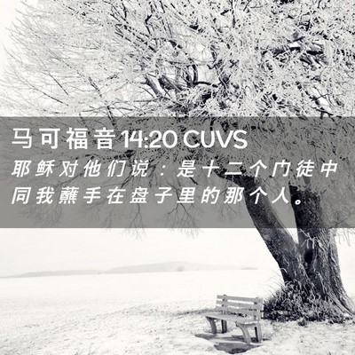 Picture 02 - 马 可 福 音 14:20 CUVS - 耶 稣 对 他 们 说 ： 是 十 二 个 门 - Bible Verse Picture