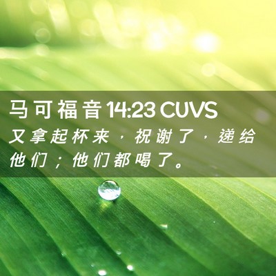 Picture 02 - 马 可 福 音 14:23 CUVS - 又 拿 起 杯 来 ， 祝 谢 了 ， 递 给 - Bible Verse Picture