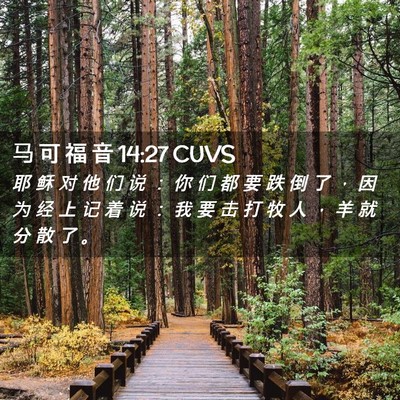 Picture 02 - 马 可 福 音 14:27 CUVS - 耶 稣 对 他 们 说 ： 你 们 都 要 跌 - Bible Verse Picture