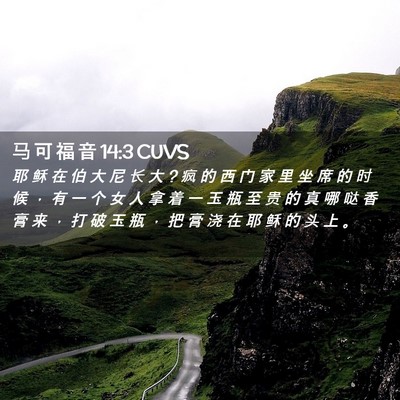 Picture 02 - 马 可 福 音 14:3 CUVS - 耶 稣 在 伯 大 尼 长 大 ? 疯 的 西 门 - Bible Verse Picture