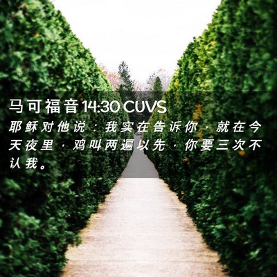 Picture 02 - 马 可 福 音 14:30 CUVS - 耶 稣 对 他 说 ： 我 实 在 告 诉 你 - Bible Verse Picture