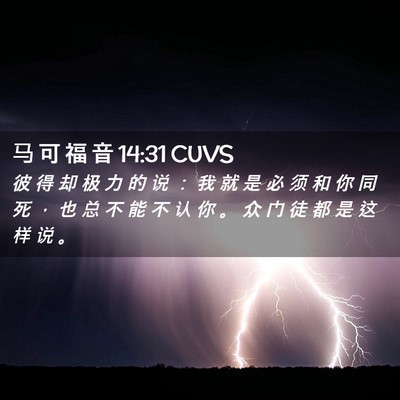 Picture 02 - 马 可 福 音 14:31 CUVS - 彼 得 却 极 力 的 说 ： 我 就 是 必 - Bible Verse Picture
