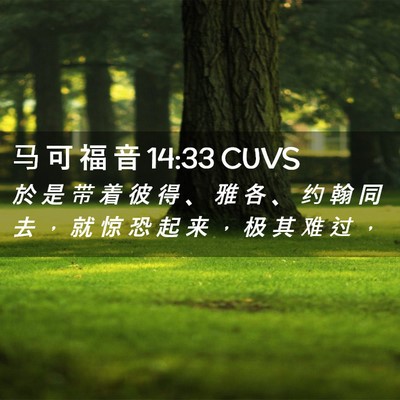 Picture 02 - 马 可 福 音 14:33 CUVS - 於 是 带 着 彼 得 、 雅 各 、 约 翰 - Bible Verse Picture